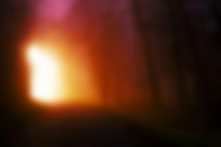 A vivid, abstract blurred image of a forest with warm glowing light, evoking mystery.